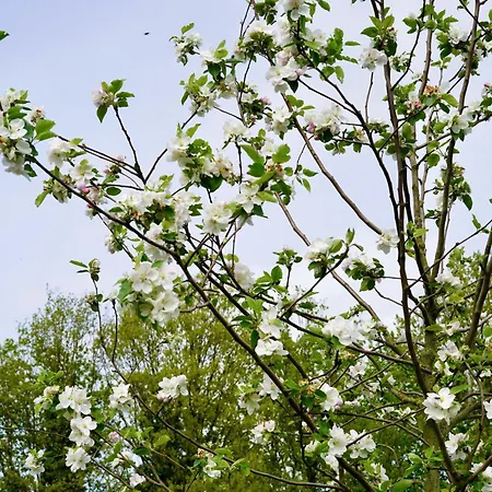 Semesterbostad Op 't Platteland