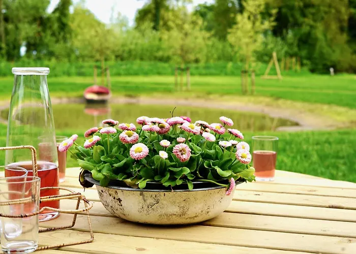 Op 't Platteland Σπίτι διακοπών