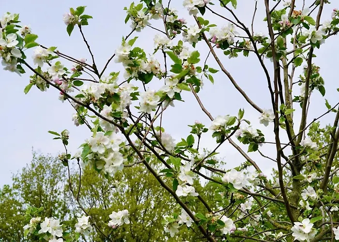 Σπίτι διακοπών Op 't Platteland