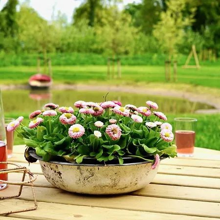 Op 't Platteland Dom wakacyjny