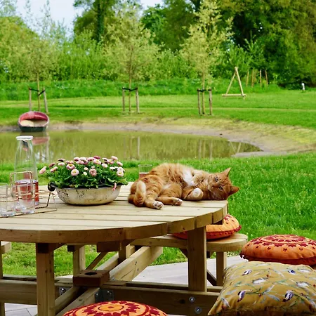 Dom wakacyjny Op 't Platteland Haps