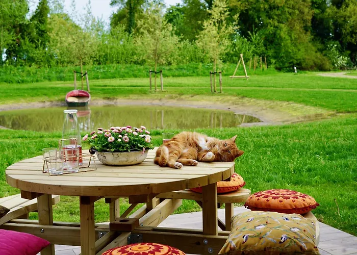 Dom wakacyjny Op 't Platteland Haps